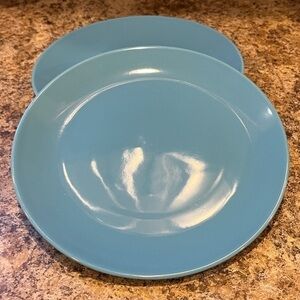 Ikea Aqua Blue 8” Dining Plate Set of Two